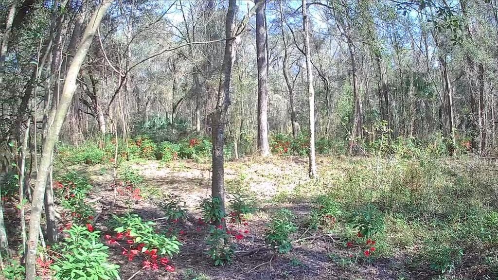 9391 N HALSTEAD LOOP CITRUS SPRINGS, FL 34434