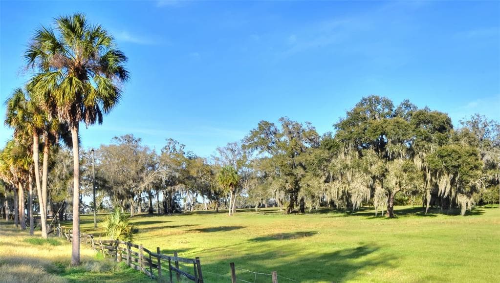 8418 LUPTON PLACE PLANT CITY, FL 33567