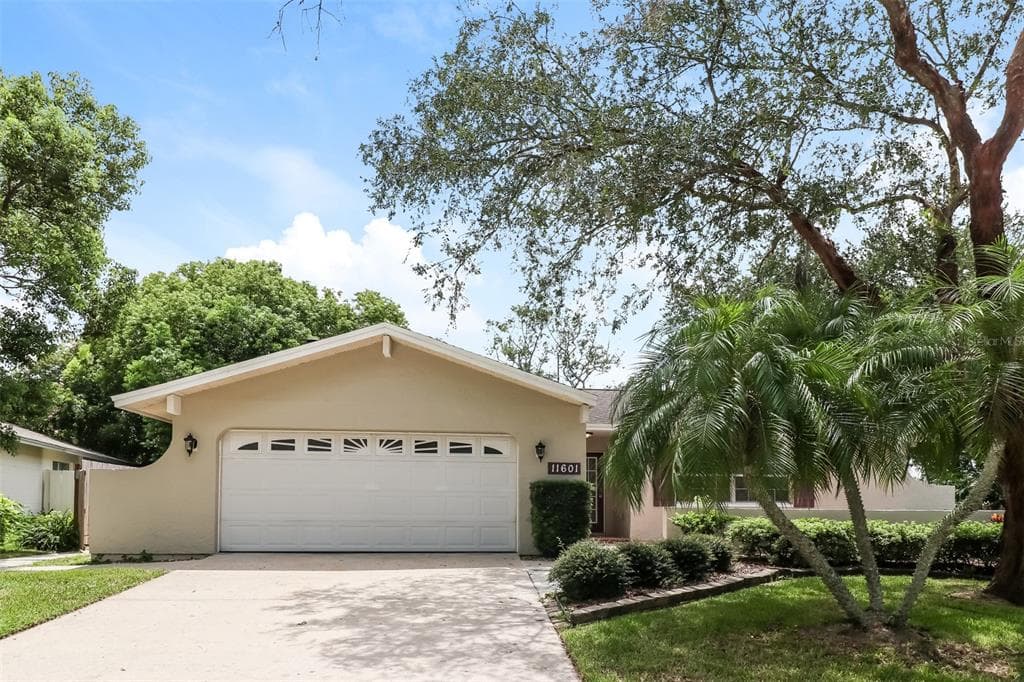 11601 PAINTED HILLS LANE TAMPA, FL 33624