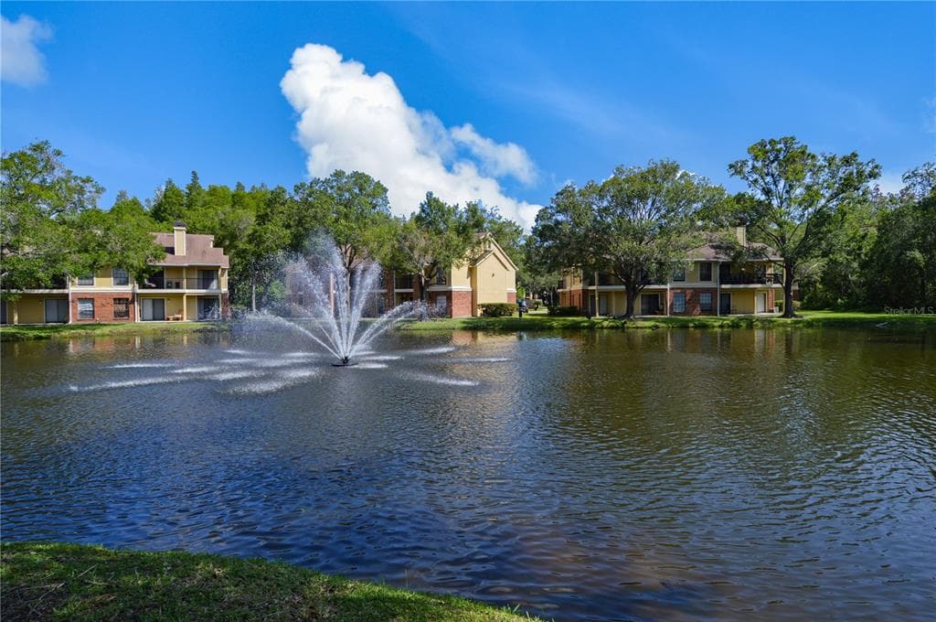 8641 FANCY FINCH DRIVE UNIT 204 TAMPA, FL 33614