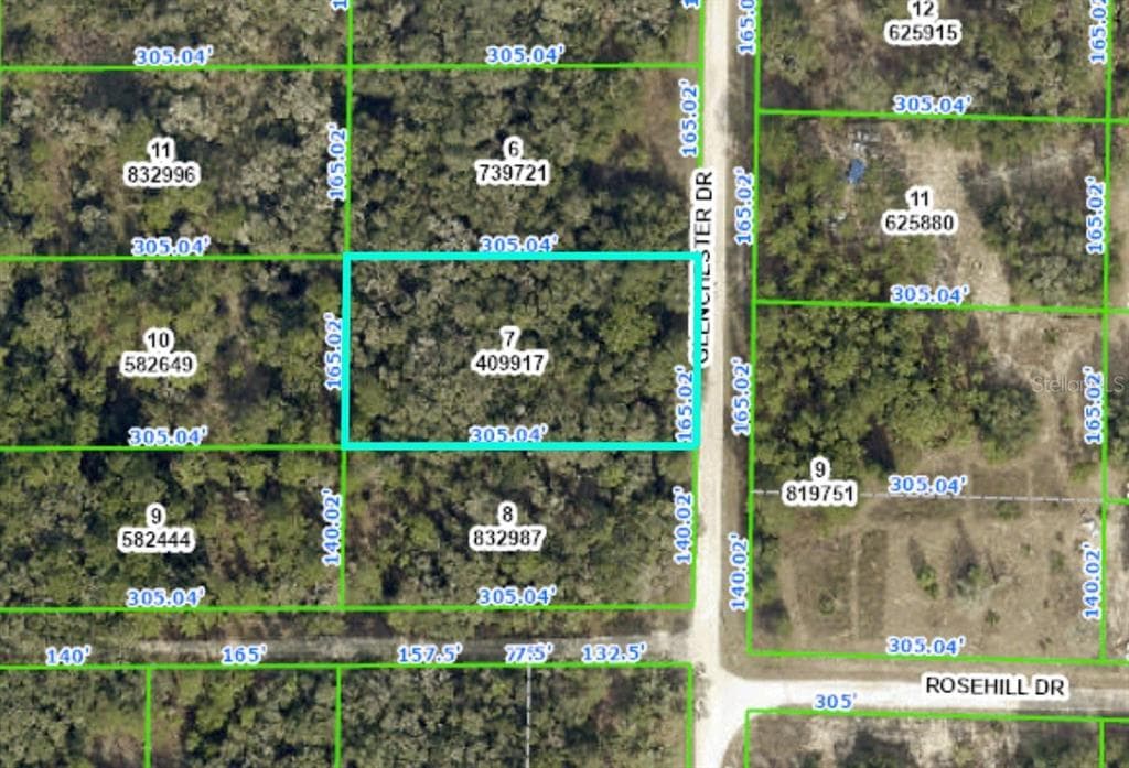 GLENCHESTER DRIVE WEBSTER, FL 33597