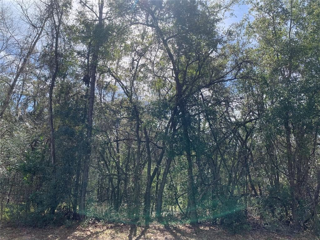 570 W CHASE STREET HERNANDO, FL 34442
