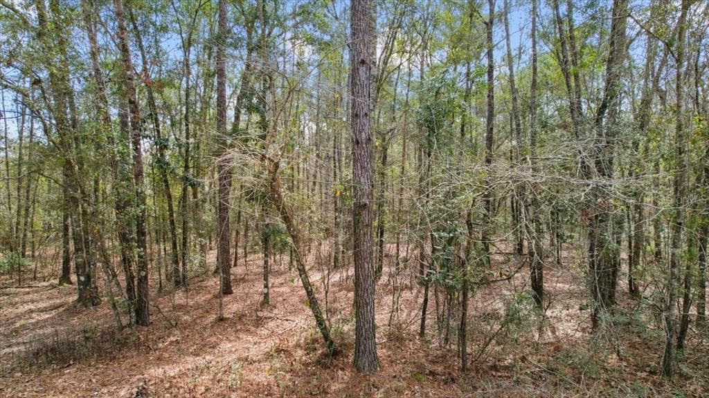 SWEETFIELD ROAD MONTICELLO, FL 32344