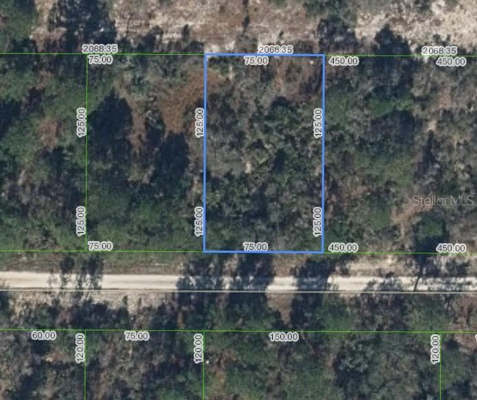 308 ROLLING HILLS DRIVE LAKE PLACID, FL 33852