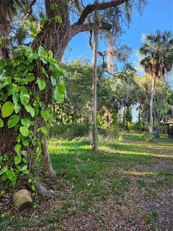 0 MILLER BAYOU DRIVE PORT RICHEY, FL 34668