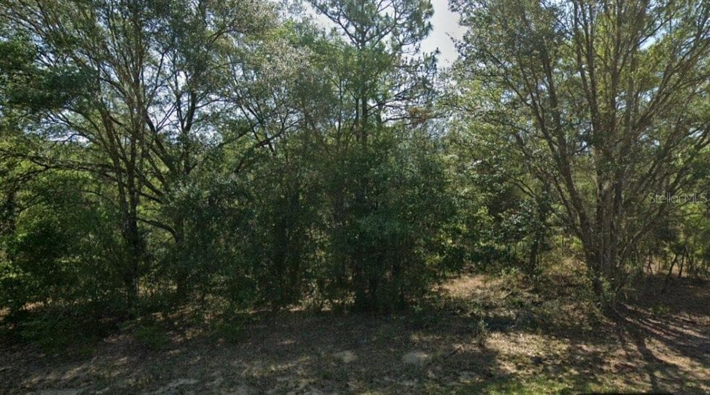 9563 N LILY DRIVE CITRUS SPRINGS, FL 34434