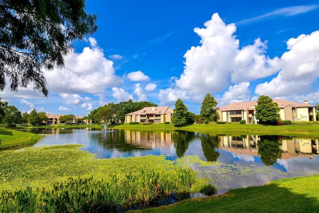 10265 GANDY BOULEVARD N UNIT 707 ST PETERSBURG, FL 33702