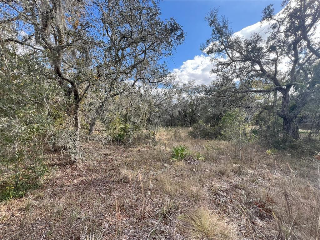 DONNEY MOOR LANE SPRING HILL, FL 34610