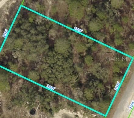 11443 MAHOPAC ROAD WEEKI WACHEE, FL 34614