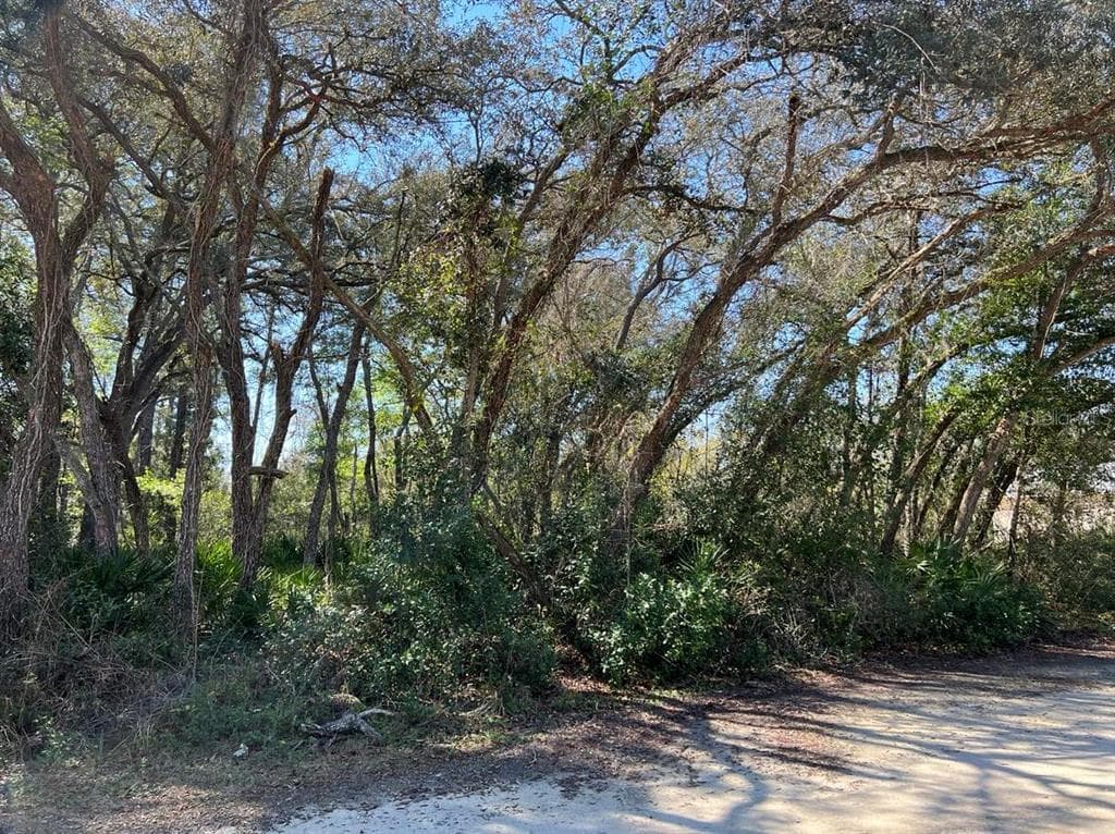 7243 WILLOUGHBY DRIVE WEBSTER, FL 33597