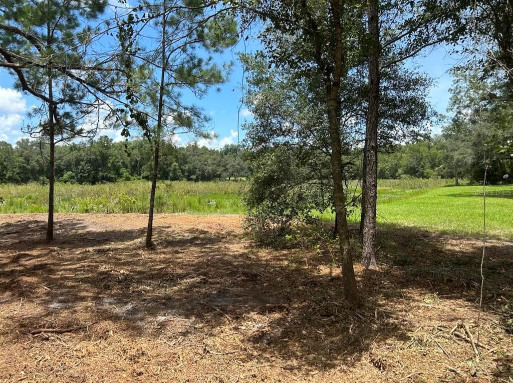 33077 SMALLMAN STREET WEBSTER, FL 33597