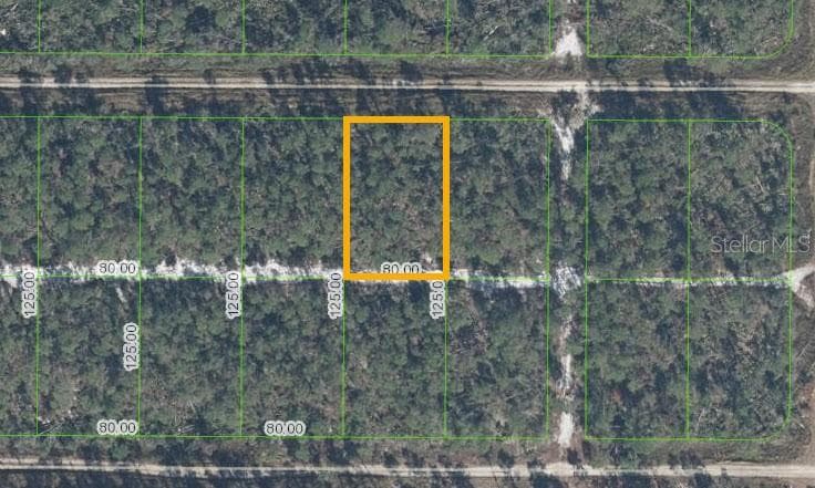513 NIGHTINGALE AVENUE SEBRING, FL 33872