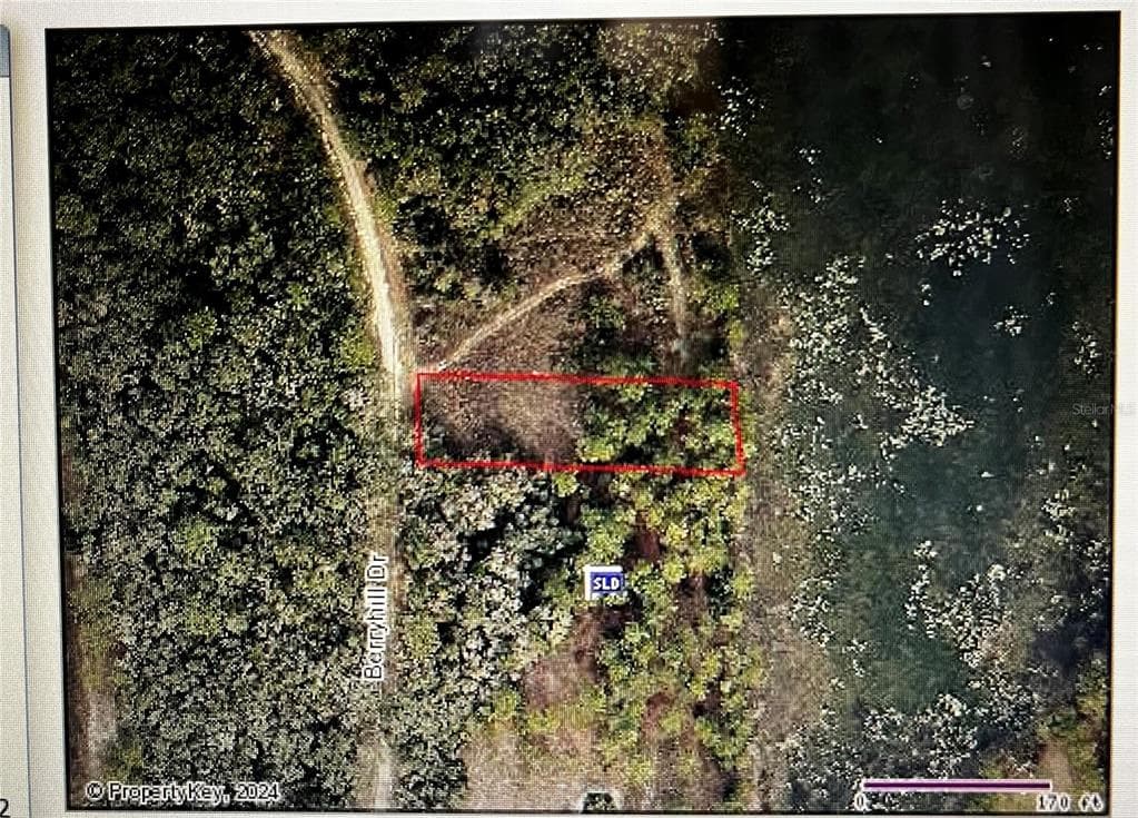 34254 BERRYHILL DRIVE WEBSTER, FL 33597