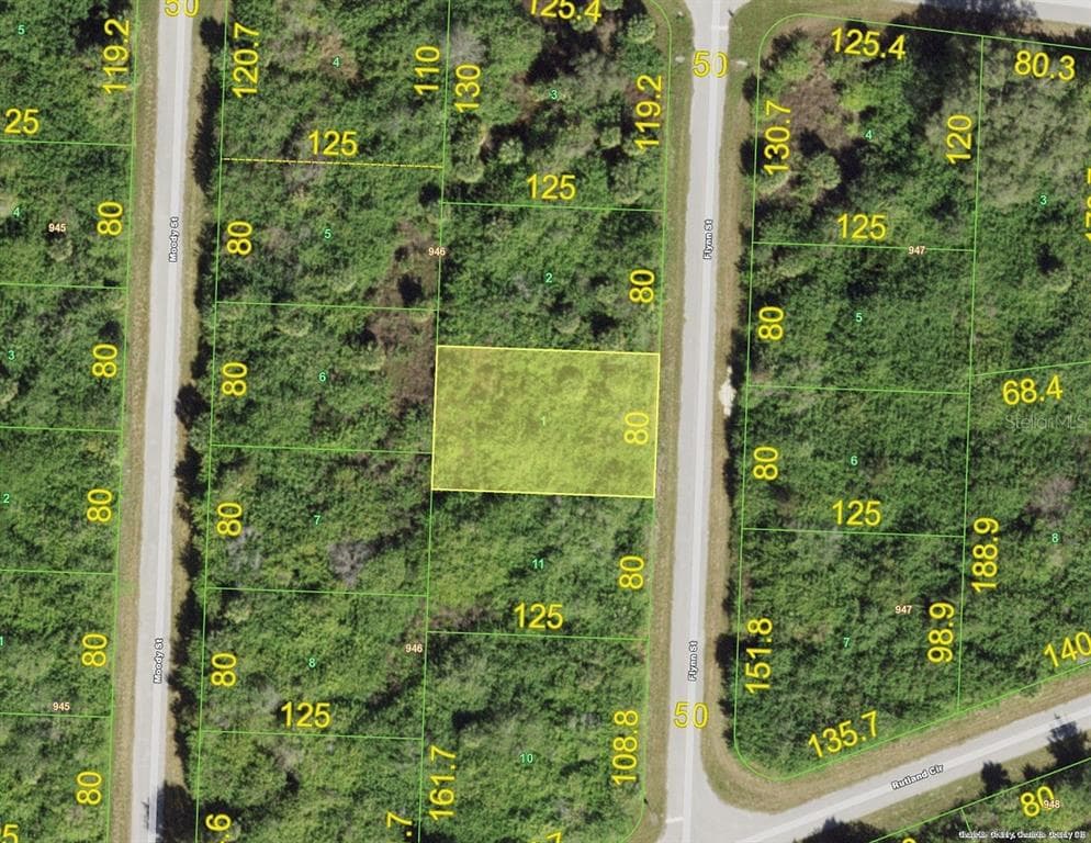 335 FLYNN STREET PORT CHARLOTTE, FL 33954