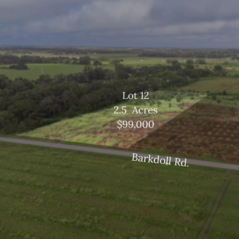 0 BARKDOLL ROAD Lot 12 BOWLING GREEN, FL 33834