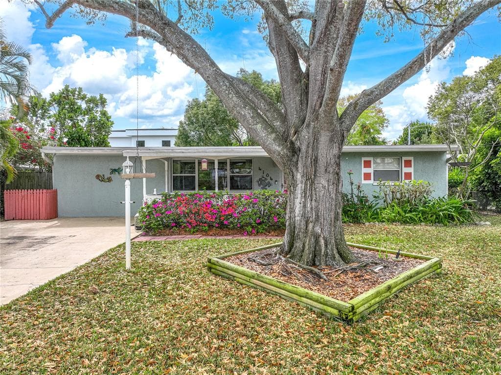 4104 W OLIVE STREET TAMPA, FL 33616