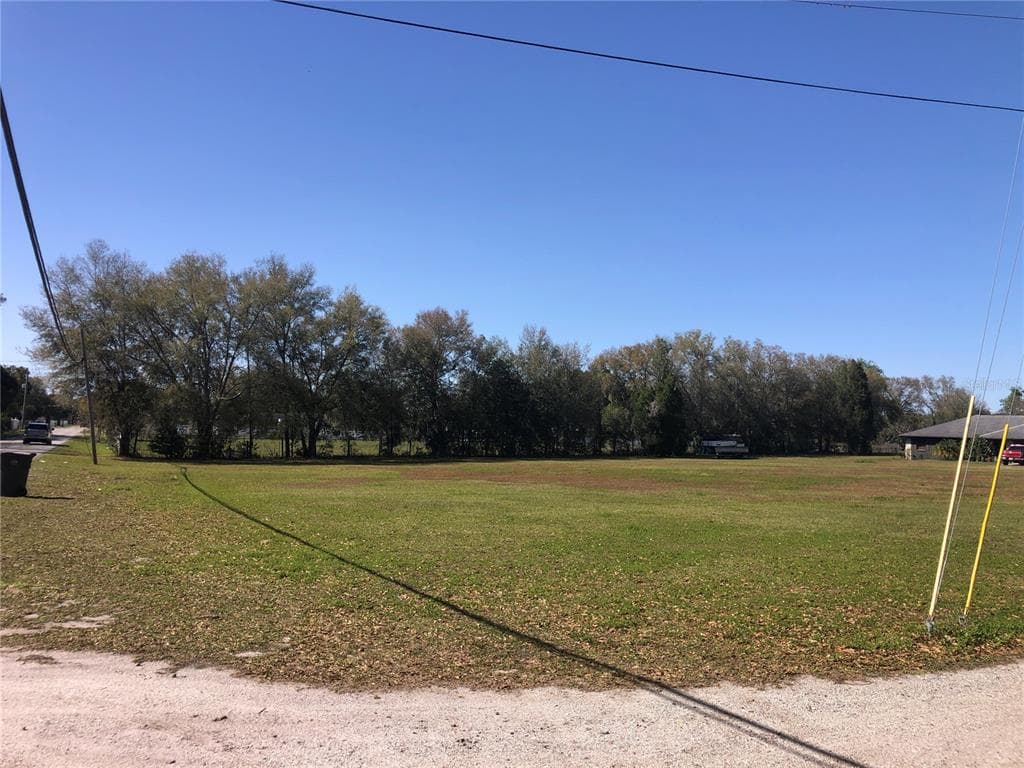 THONOTOSASSA PLANT CITY, FL 33565