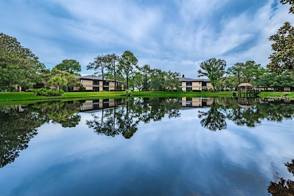 2681 SABAL SPRINGS CIRCLE UNIT 202 CLEARWATER, FL 33761