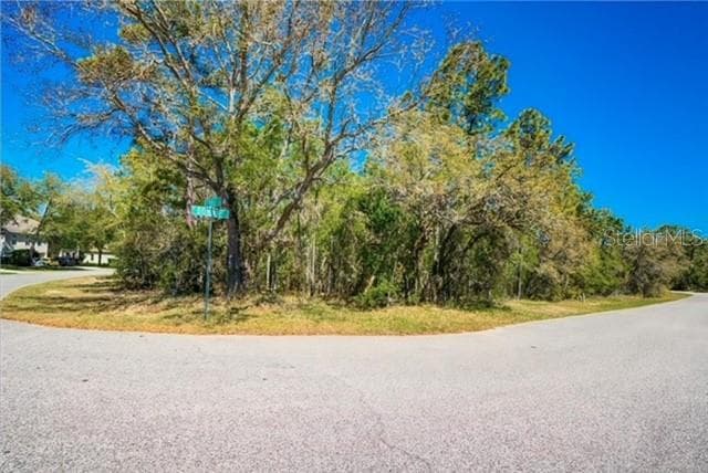 10 BONNIE DRIVE HOMOSASSA, FL 34446