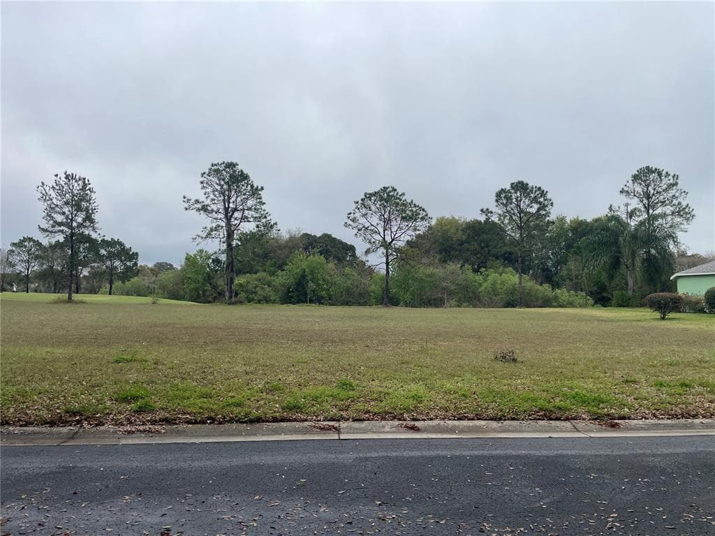 551 DOWLING CIRCLE LADY LAKE, FL 32159