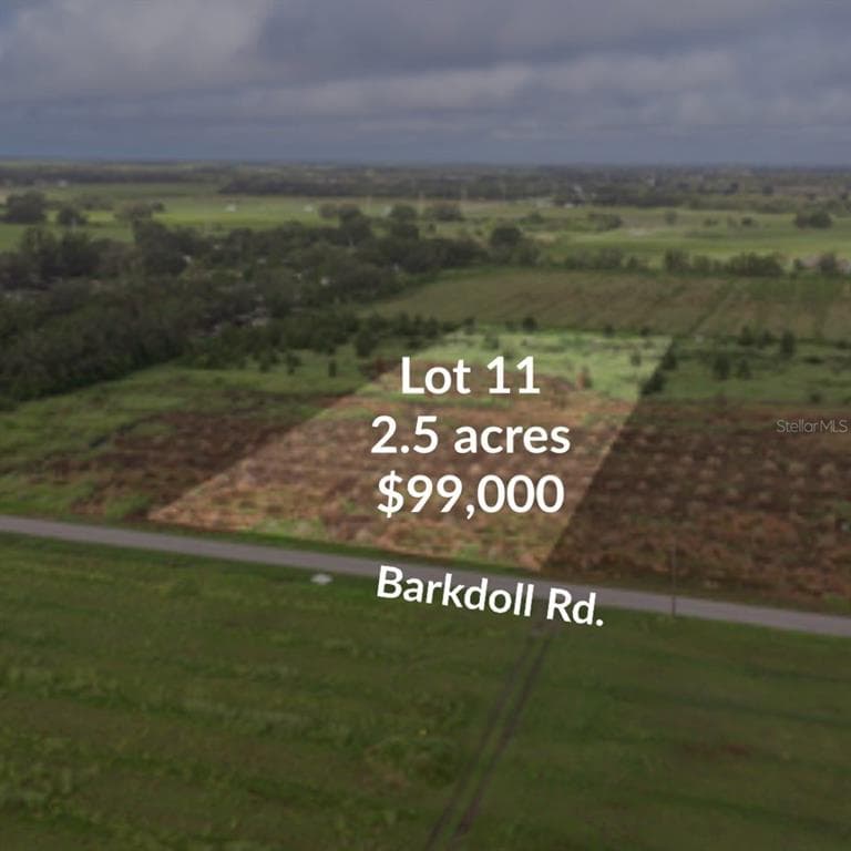 0 BARKDOLL ROAD Lot 11 BOWLING GREEN, FL 33834