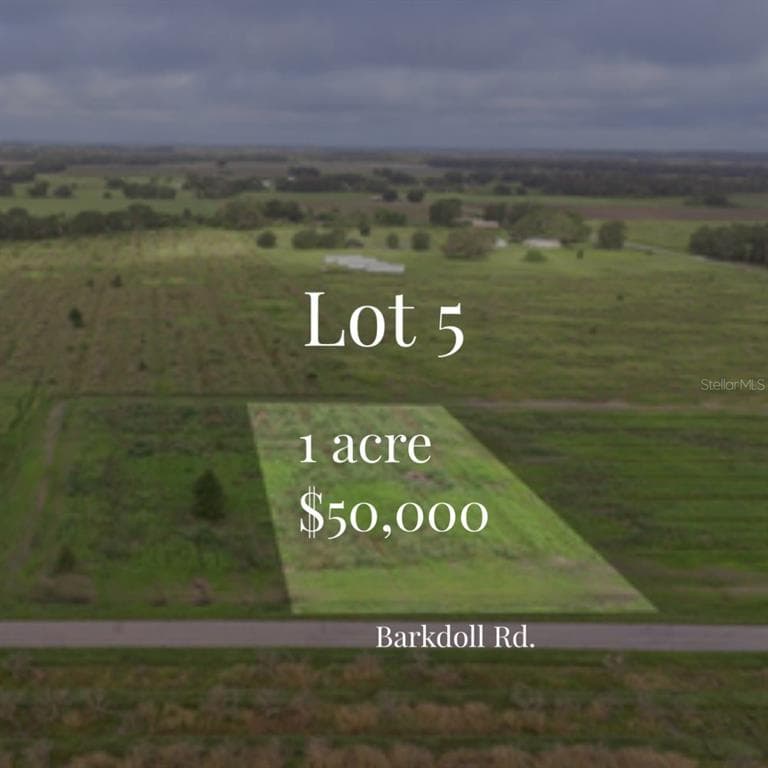 0 BARKDOLL ROAD Lot 5 BOWLING GREEN, FL 33834