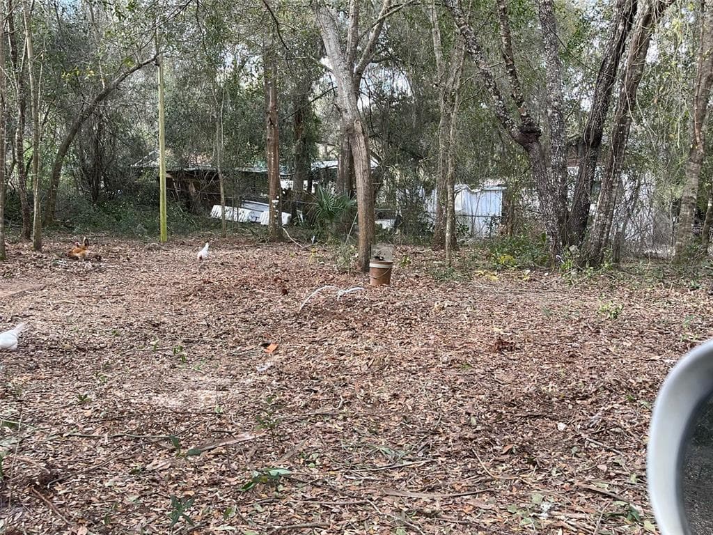 11749 E CARDINAL PLACE FLORAL CITY, FL 34436