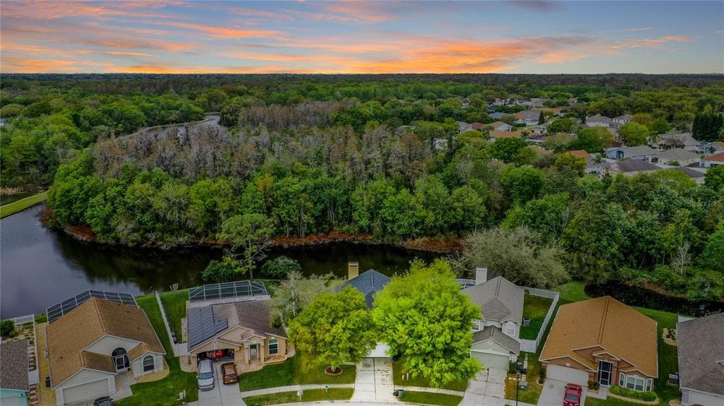 3231 CASTLE ROCK CIRCLE LAND O LAKES, FL 34639