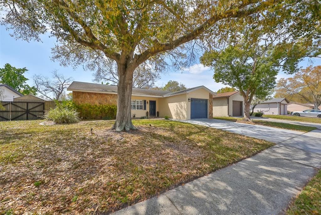 11505 SMOKETHORN DRIVE RIVERVIEW, FL 33579