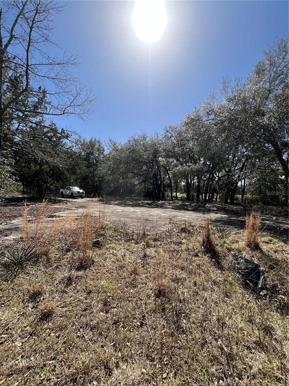 15851 E US 27 BRANFORD, FL 32008