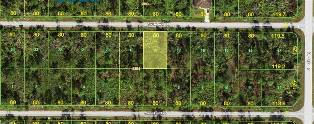 13461 CARRIE AVENUE PORT CHARLOTTE, FL 33953