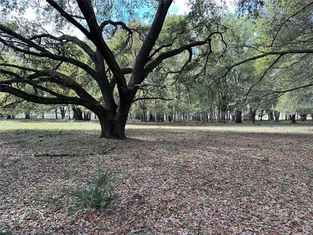 13568 HAYNES ROAD DOVER, FL 33527