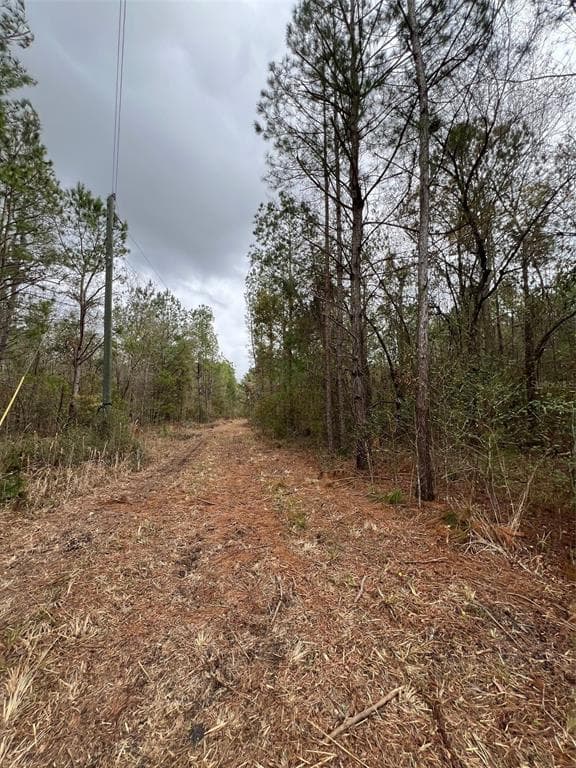7136 WIGGINS ROAD LIVE OAK, FL 32060