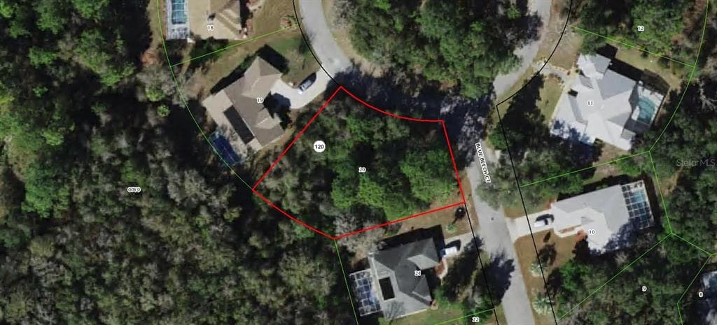 6 BLUE BEECH COURT HOMOSASSA, FL 34446