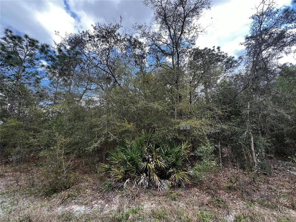 0 CEDARWOOD AVENUE BROOKSVILLE, FL 34614