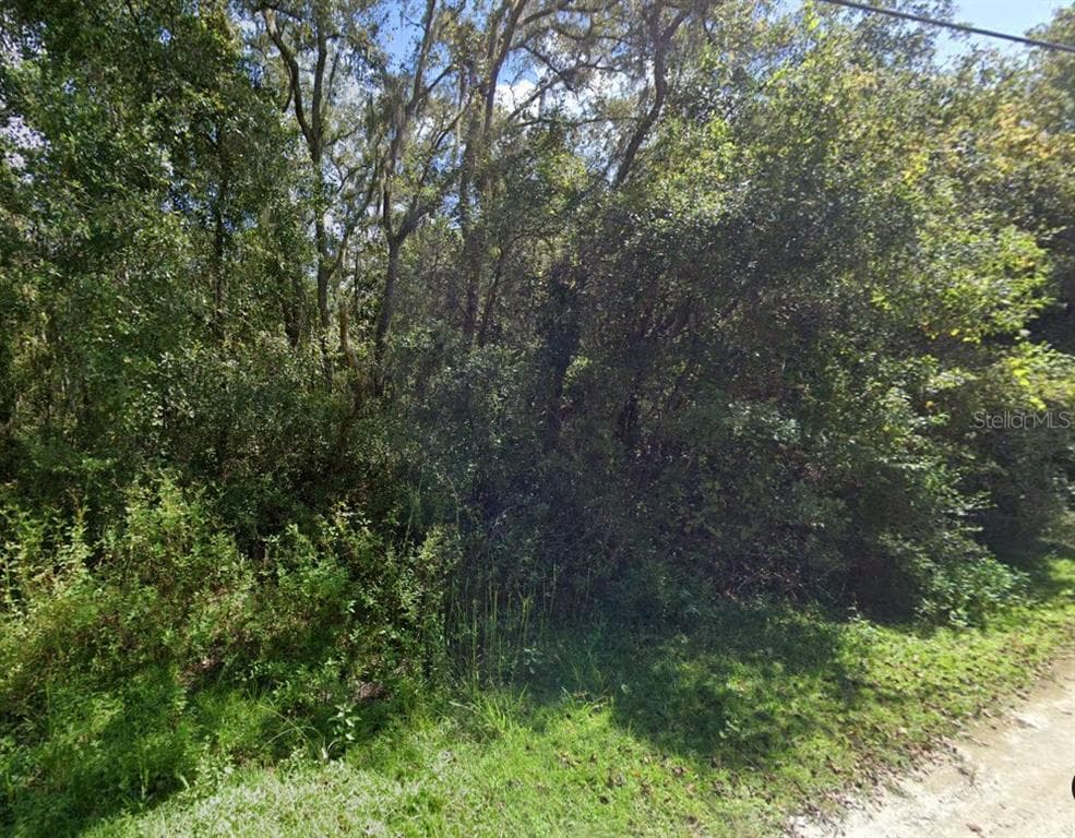 CANELLA ST NEW PORT RICHEY, FL 34654