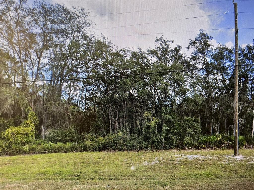 34365 CORTEZ BOULEVARD DADE CITY, FL 33523
