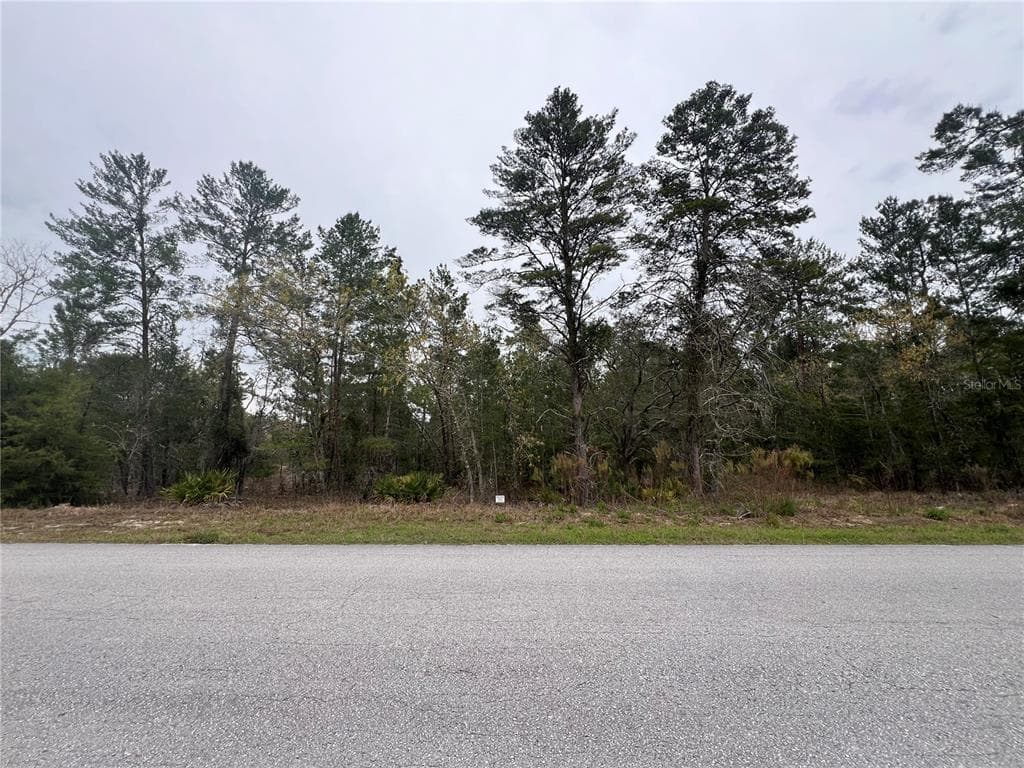 36 LONE PINE STREET HOMOSASSA, FL 34446
