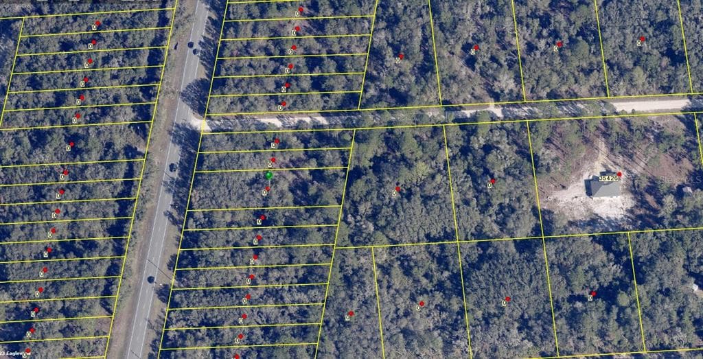 8146 TREIMAN BOULEVARD WEBSTER, FL 33597