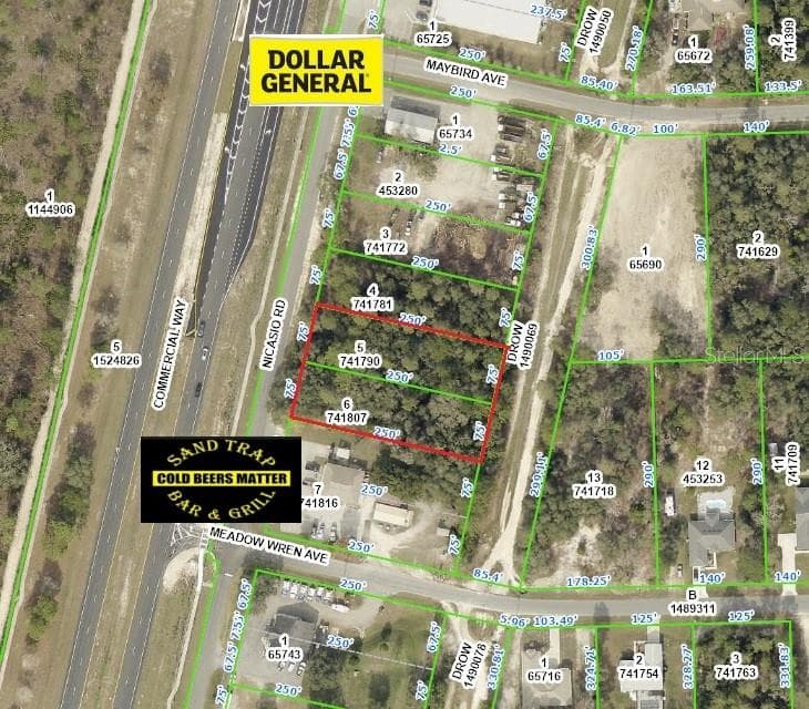10516 NICASIO ROAD WEEKI WACHEE, FL 34613