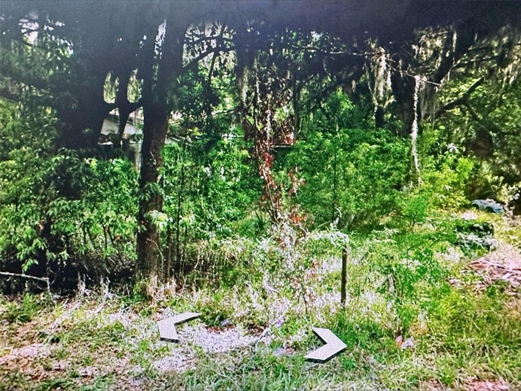 409 W TOWLES AVENUE PALATKA, FL 32177