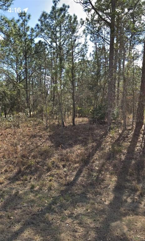 13398 SOOTY TERN AVENUE WEEKI WACHEE, FL 34614