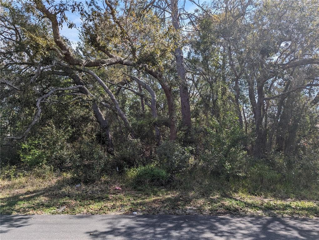0 DRISTOL AVENUE SPRING HILL, FL 34609
