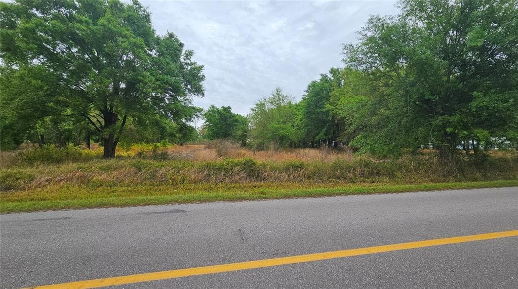 1298 OLD BRADENTON ROAD WAUCHULA, FL 33873
