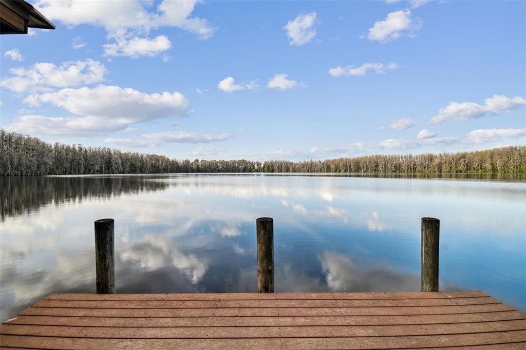 20843 LAKE VIENNA DRIVE LAND O LAKES, FL 34638