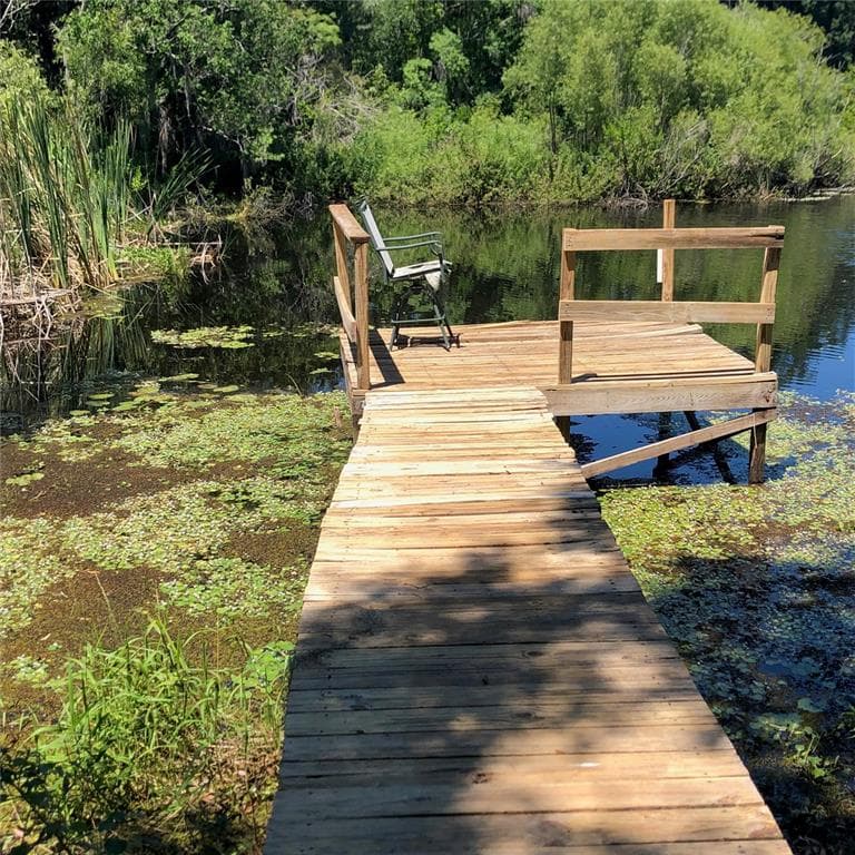 3217 LAUREL DALE DRIVE TAMPA, FL 33618