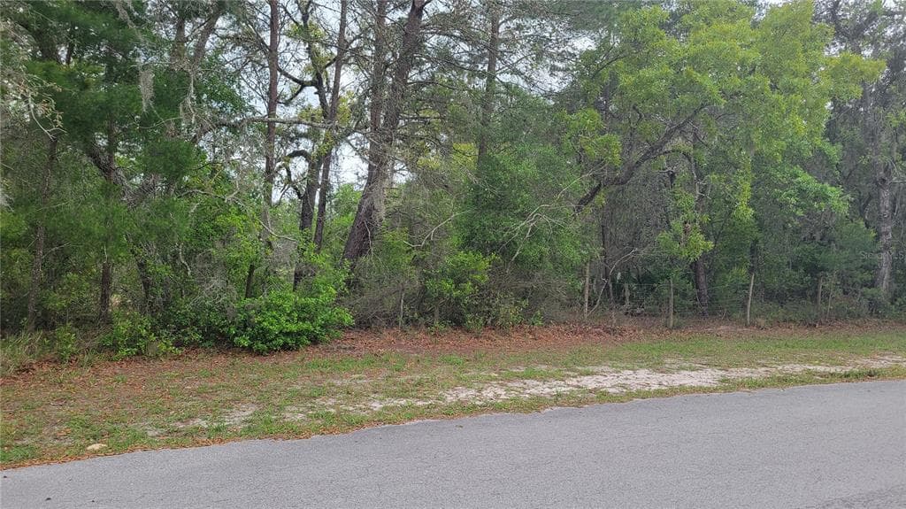 1760 RABBIT DRIVE NEW PORT RICHEY, FL 34655