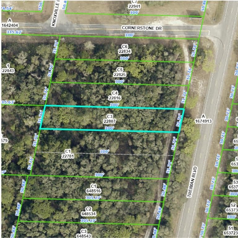 TREIMAN BOULEVARD RIDGE MANOR ESTATES, FL 33597