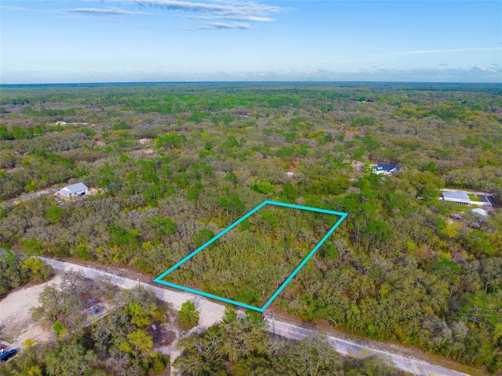 8190 RENOVA DRIVE WEBSTER, FL 33597