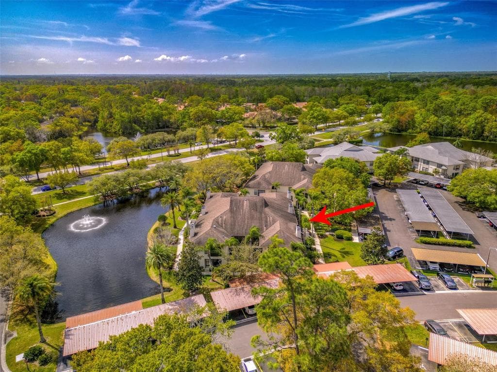 3350 MERMOOR DRIVE UNIT 1202 PALM HARBOR, FL 34685